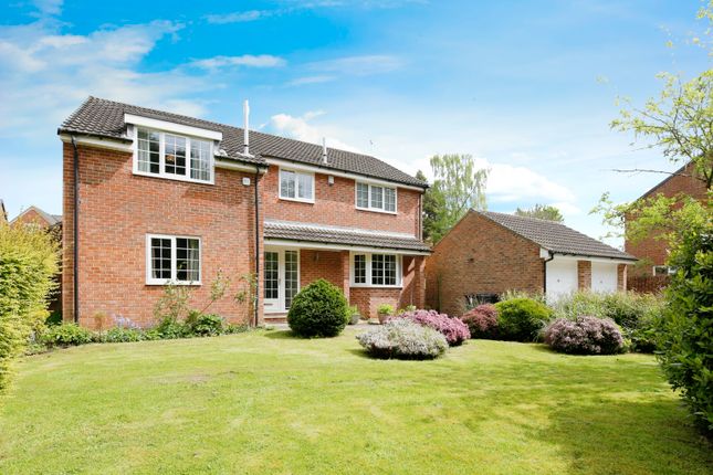 Thumbnail Detached house for sale in The Paddock, Middleton St. George, Darlington, Durham