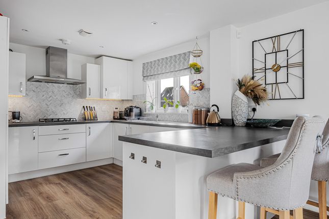 2, Norman Rise, Reading photo 3