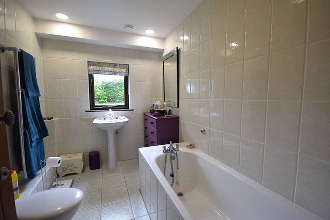 Ground Floor Bedroom, Plat House, Bideford photo 4