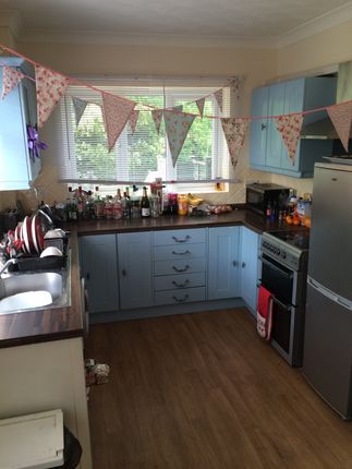 Semi-detached house to rent in Old Heath Road, Colchester