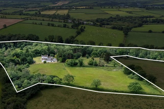 The Grounds
