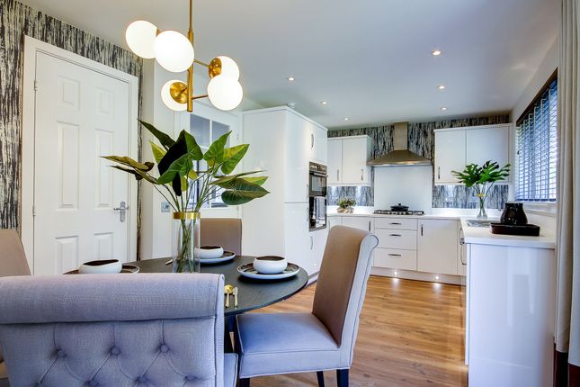 Detached house for sale in "The Leith" at Mid Craigie Road, Dundee