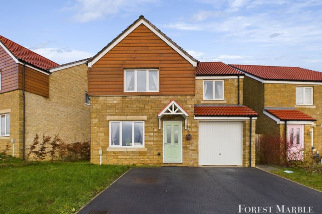 Thumbnail Detached house for sale in Lily Road, Frome