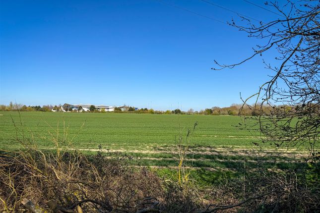 Tanglyn, Rush Green Road, Clacton-on-sea photo 3