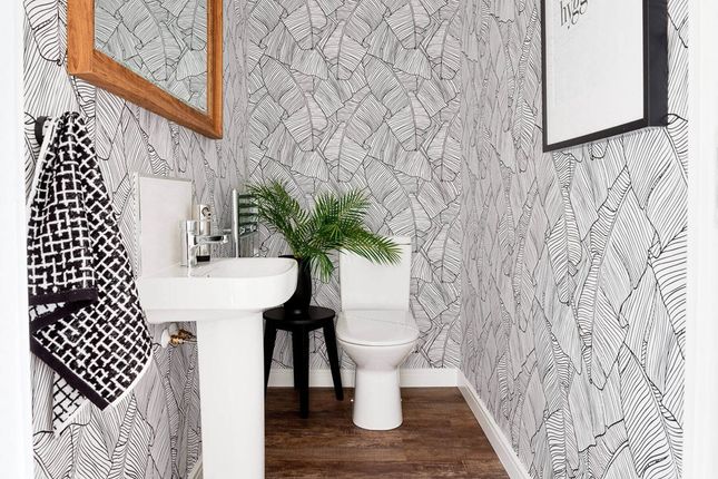 Convenient Downstairs Toilet