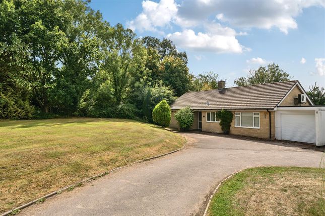 1 Hays Cottages, Chaffcombe photo 2