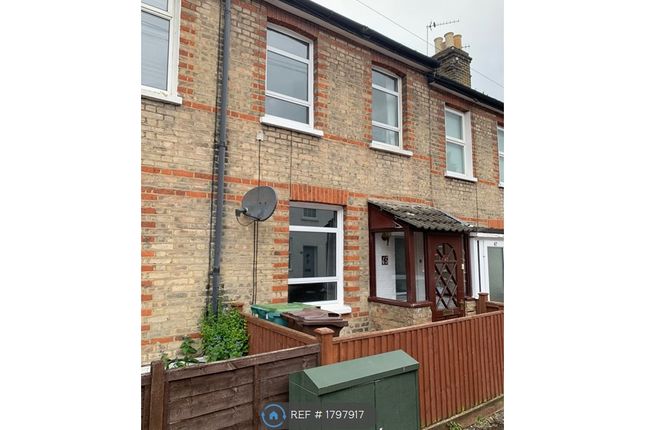 Thumbnail Terraced house to rent in Clarence Road, Sutton