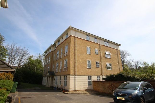 Thumbnail Flat to rent in Alcove Road, Speedwell, Bristol