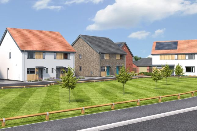 Horizon, Plot 101, Cygnet Rise, Swaffham photo 2