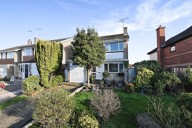 Thumbnail Detached house for sale in Pertwee Drive, Chelmsford, Essex