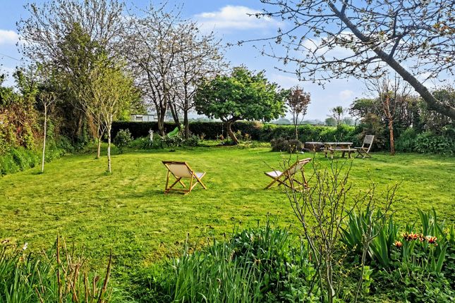 Steers Cottage,, Stoke Canon, Devon photo 3