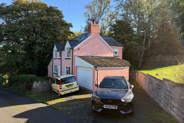 Cross Inn, Near New Quay photo 2