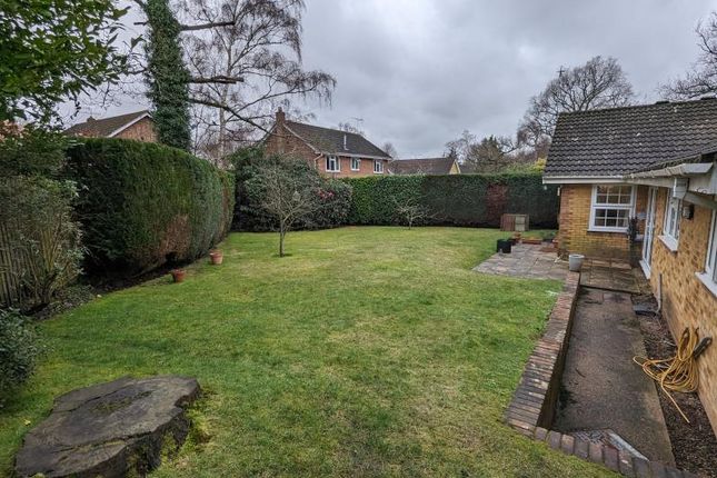 Detached bungalow to rent in Pyrford, Surrey