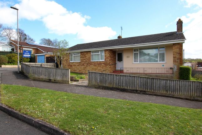 Thumbnail Bungalow for sale in Philip Road, Blandford Forum