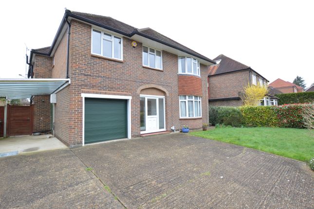 Thumbnail Detached house to rent in Orchard Drive, Woking, Surrey