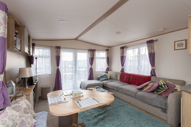 Annsmuir Caravan Park, Cupar photo 2