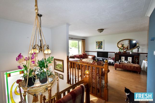 6, Valley View, Swansea photo 4