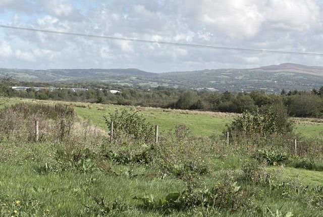 Canwch Y Gloch, Coopers Road, Ammanford photo 4