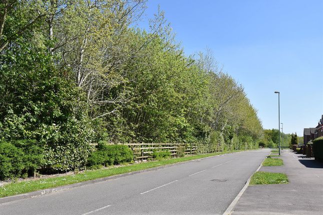 Birchenwood Way.Jpg