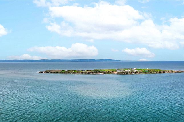 Drone Image