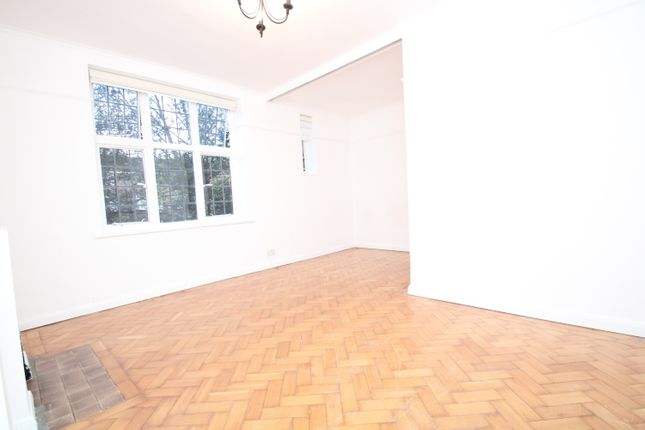 3, Croydon photo 4
