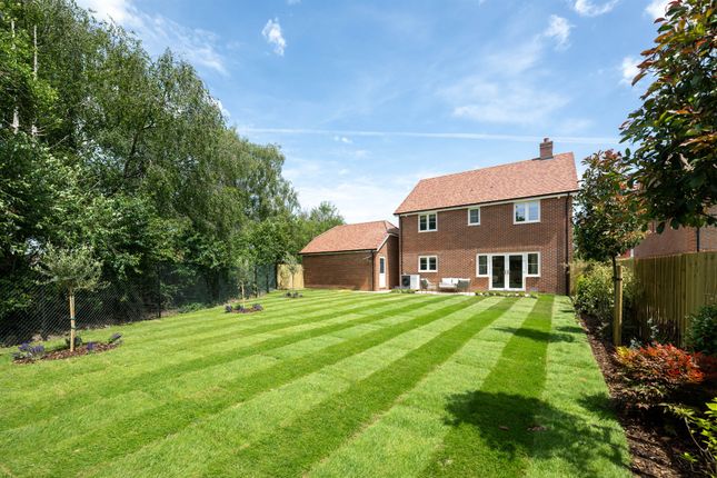 Plot 15., The Noble Fir, Moor Hall Park, Battle photo 4