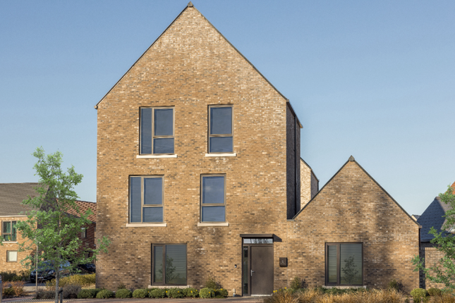 The Alder, Number 329