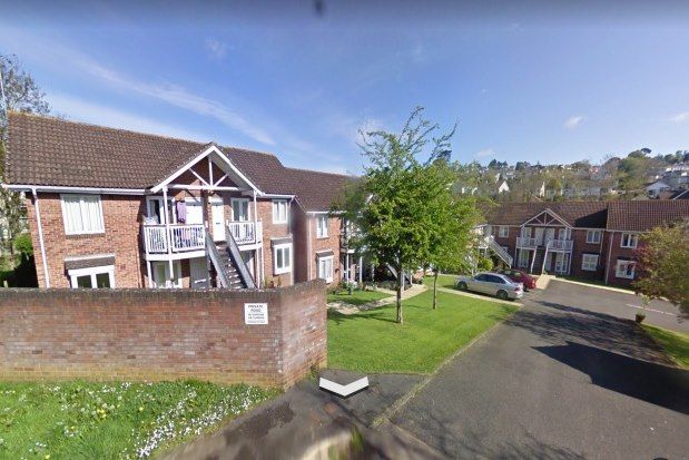 Thumbnail Flat to rent in Mill Close, Newton Abbot