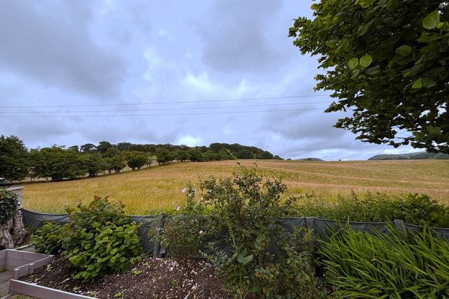 11, Pwllswyddog, Tregaron photo 2