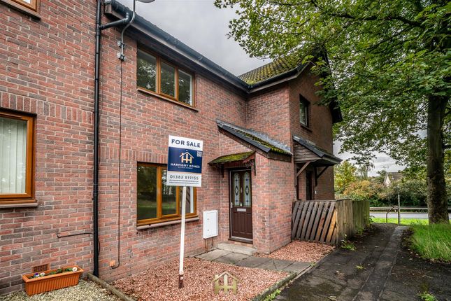 9 Earlston Ave Dd40Th 031025 Edit (37 Of 37).Jpg