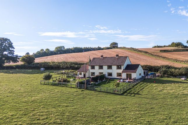 Page 4 Large 1358564-30-68dc1d135B95A-Arw.Jpg