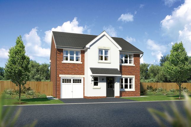 Thumbnail Detached house for sale in "Heddon II" at Church Road, Warton, Preston