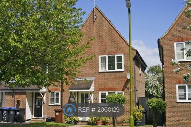 Thumbnail End terrace house to rent in Salmon Close, Welwyn Garden City