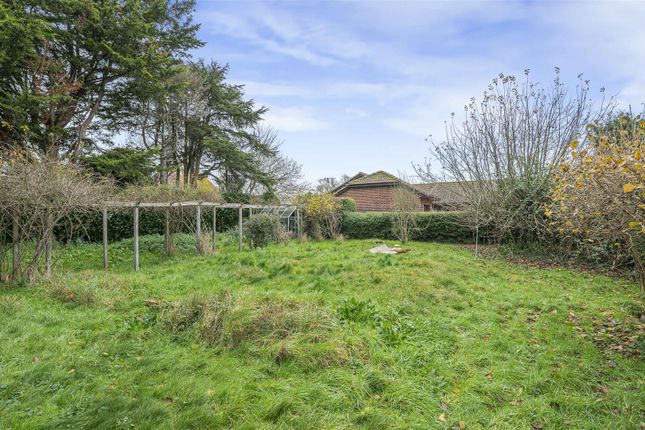 Zennor, Chyngton Lane, Seaford photo 3