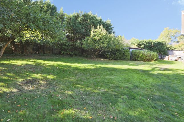 3, Shepherds Walk, East Sussex photo 4