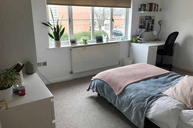 102, Southampton photo 4