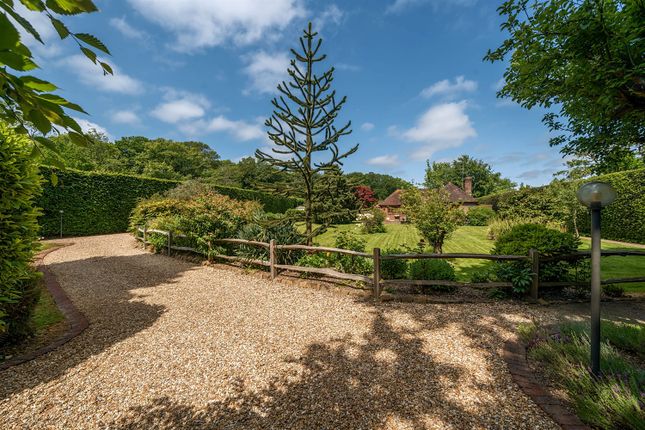 Thumbnail Detached bungalow for sale in Mill House Cottage, Petworth Road, Chiddingfold, Godalming, Surrey