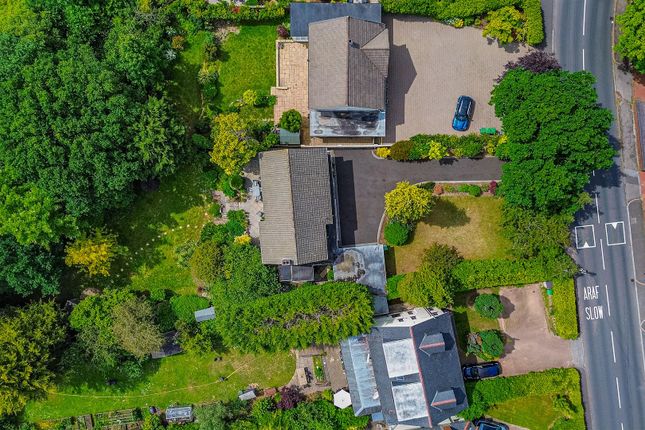 Hollybush Road 38 Drone-2.Jpg