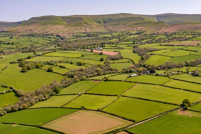 Dji_0429-Edit.Jpg