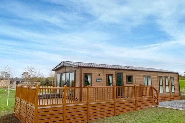 Thumbnail Bungalow for sale in The Beaumont, Llanon, Ceredigion