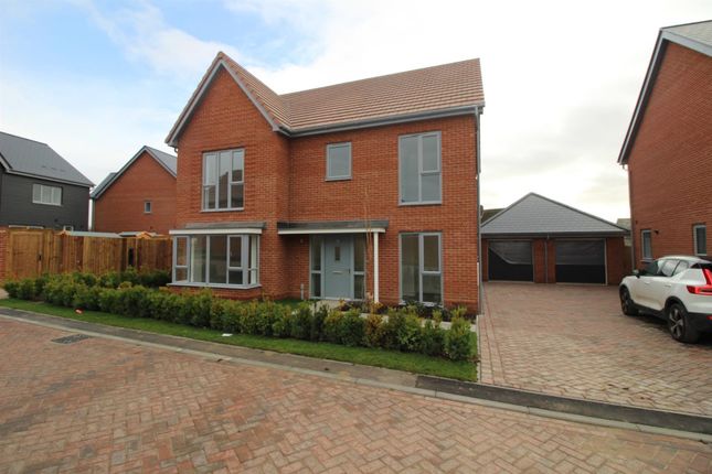 Thumbnail Detached house to rent in Minikin Close, Colchester