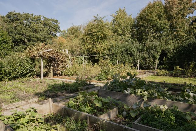 312484 - 10 High St, Toft-42.Jpg