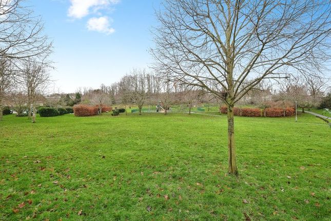 16, Park View, Alnwick photo 4