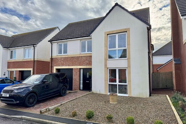 Detached house to rent in Range View, Whitburn, Sunderland