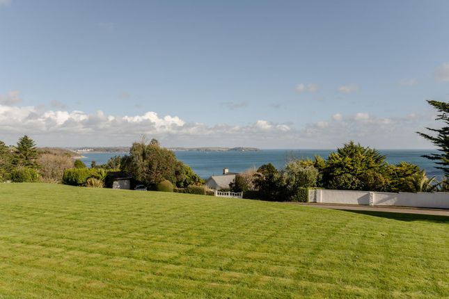 Bow Green, Trelawney Close, Falmouth photo 4