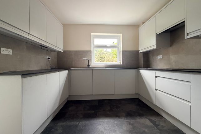 42, Birmingham photo 2