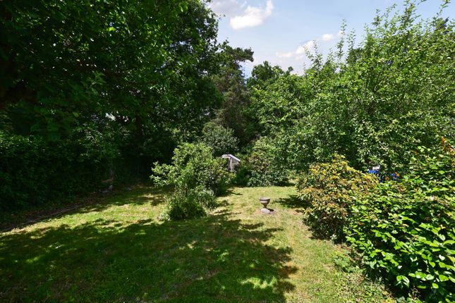 3, Bower Road, Farnham photo 3