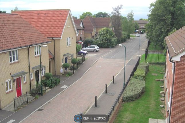 Ridgewell Avenue, Chelmsford photo 4