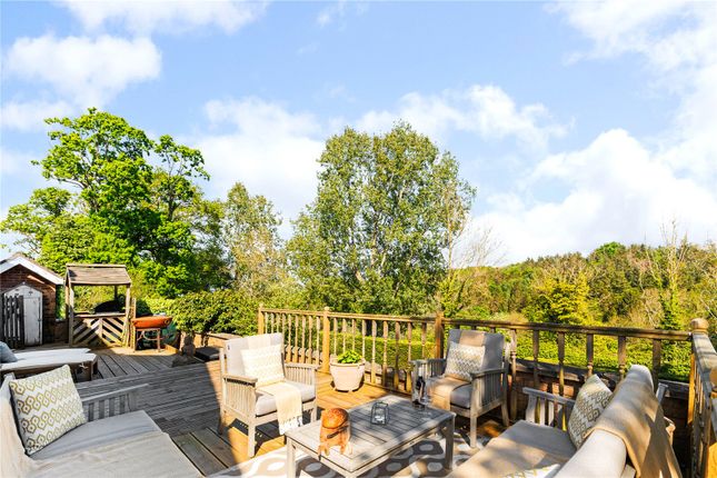 Patio/Terrace