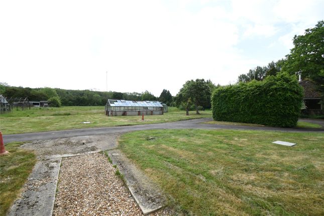 Taylor North,, Broad Oak, Hook photo 2